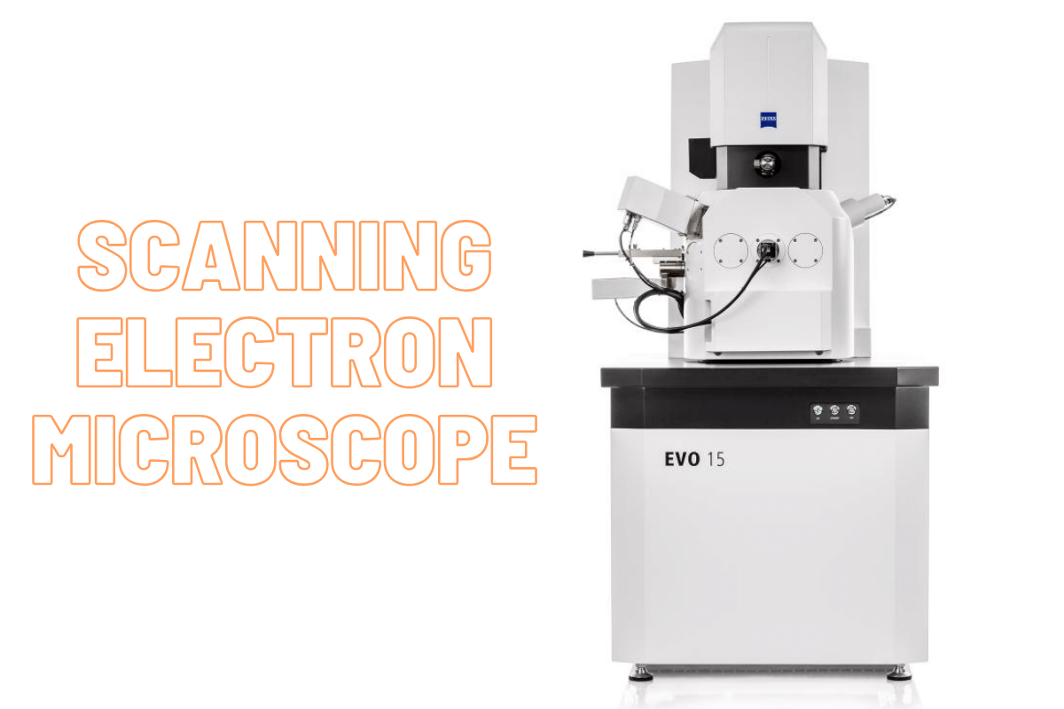 Scanning electron microscope SEM testing lab